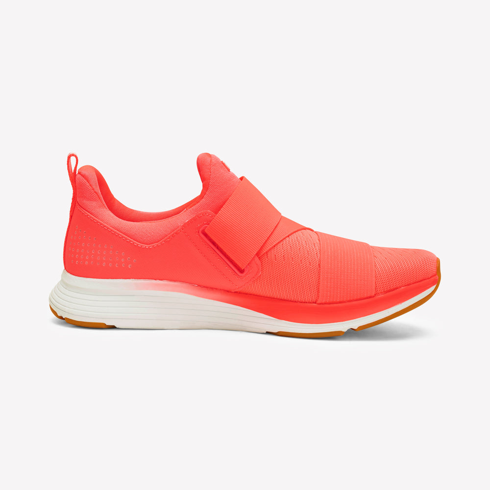 Latus-Bright Coral