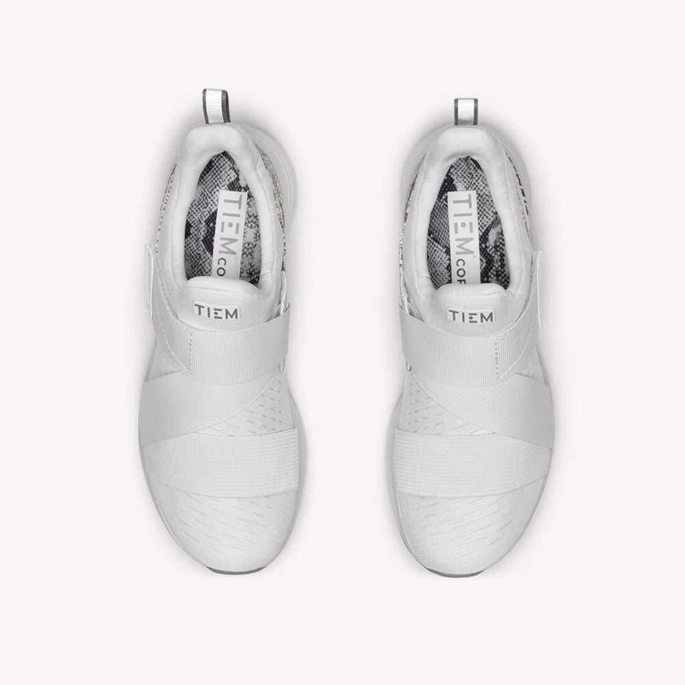 Latus-Ivory Snake